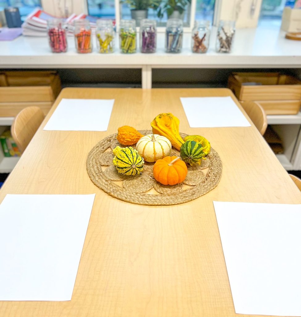 Mini pumpkins and gourds on a table for students as a provocation to draw